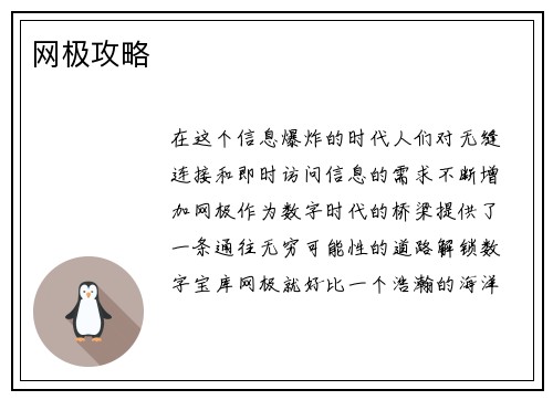 网极攻略