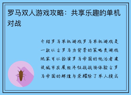 罗马双人游戏攻略：共享乐趣的单机对战